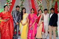 Gopichand Malineni Wedding Reception Gallery